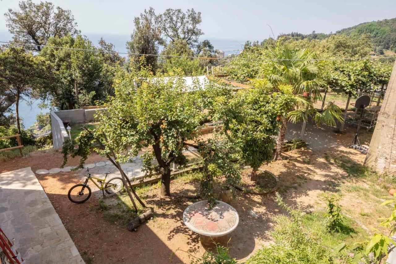 La Brigna B&B Il Bosco Sul Mare Genoa Bagian luar foto